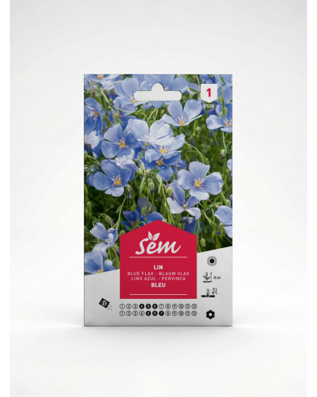 Lin Bleu – Semences de Fleurs Ornementales | Agriclic.tn