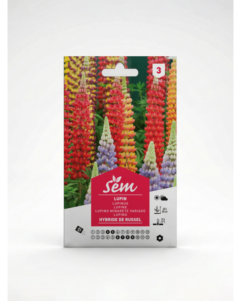 Lupin – Semences de fleurs ornementales | Agriclic.tn