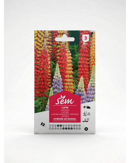 Lupin – Semences de fleurs ornementales | Agriclic.tn