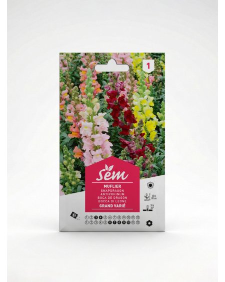 Muflier – Semence Gueule-de-loup | Agriclic.tn