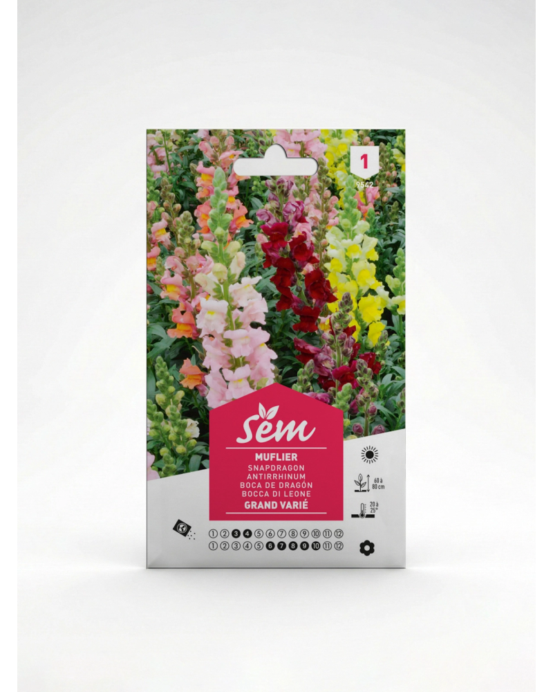 Muflier – Semence Gueule-de-loup | Agriclic.tn