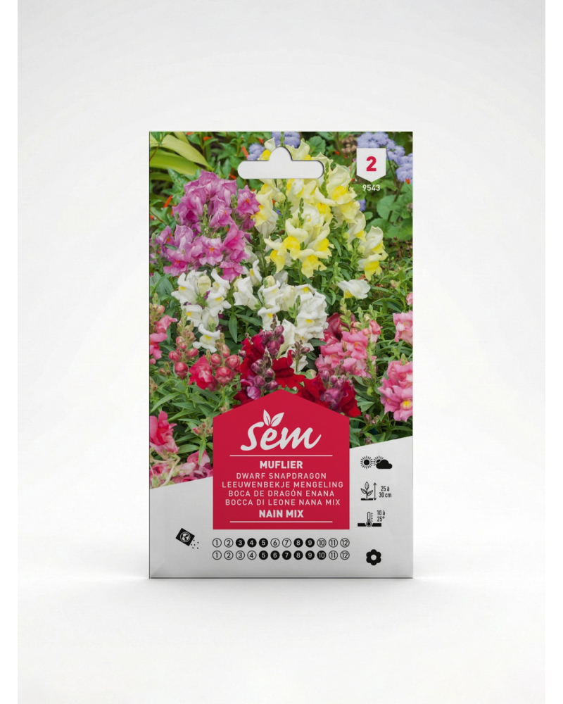 Muflier Nain – Semence Gueule-de-loup | Agriclic.tn