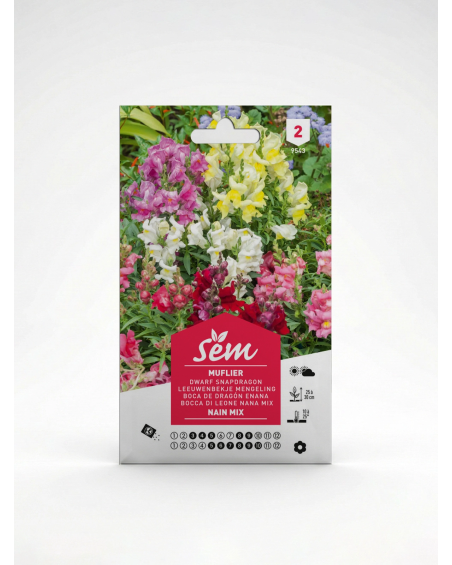 Muflier Nain – Semence Gueule-de-loup | Agriclic.tn