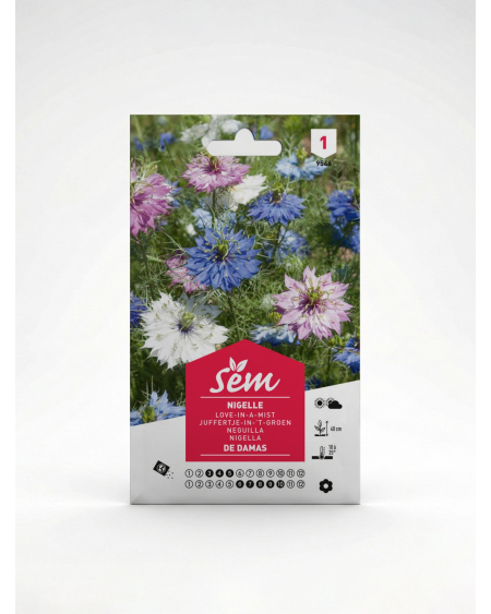 Nigelle de Damas – Semences de fleurs | Agriclic.tn