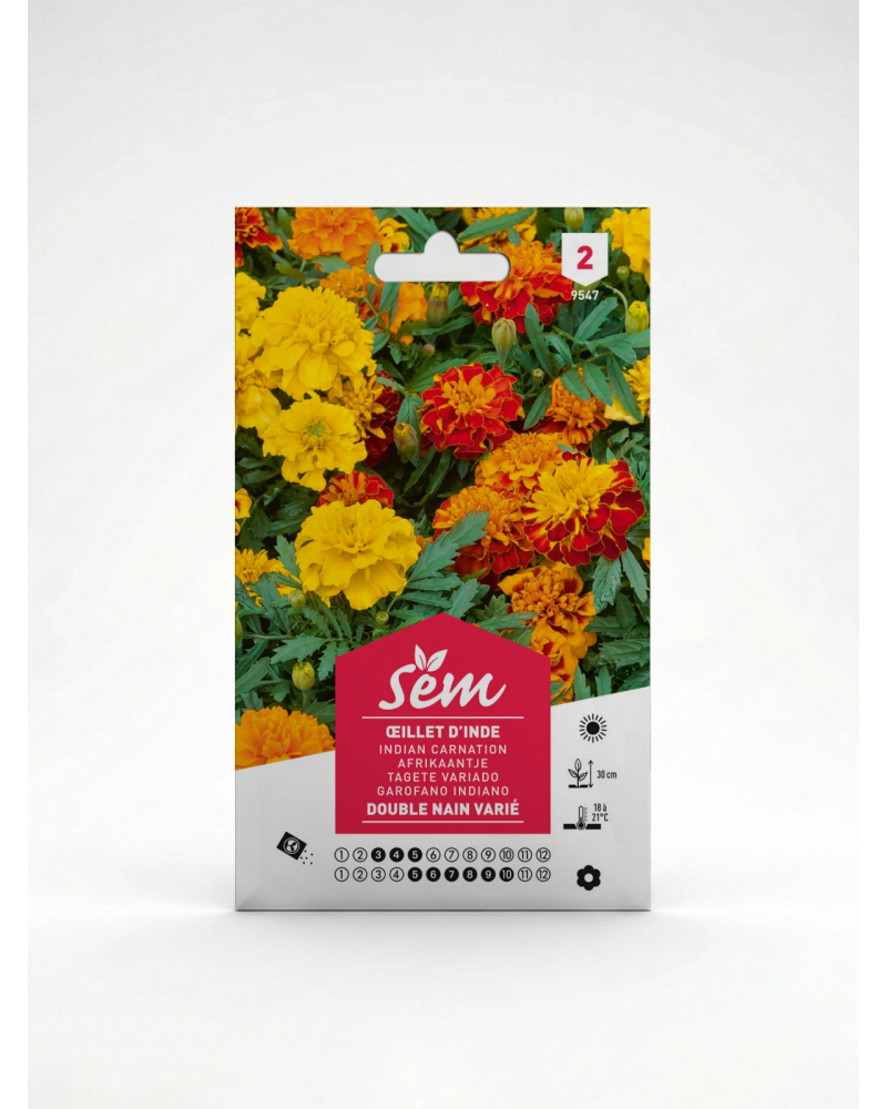 Œillet d’Inde – Semence Tagetes | Agriclic.tn