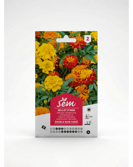 Œillet d’Inde – Semence Tagetes | Agriclic.tn
