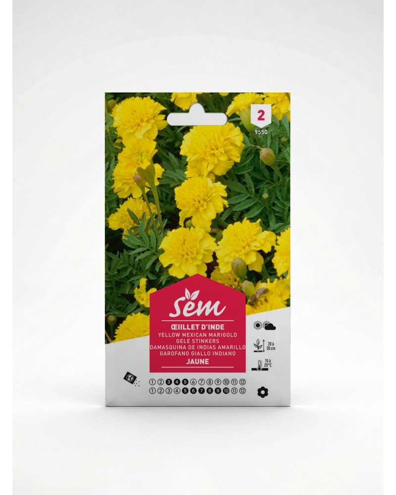 Œillet d’Inde Jaune – Semence Tagetes | Agriclic.tn