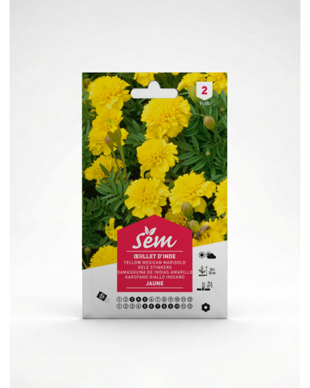 Œillet d’Inde Jaune – Semence Tagetes | Agriclic.tn