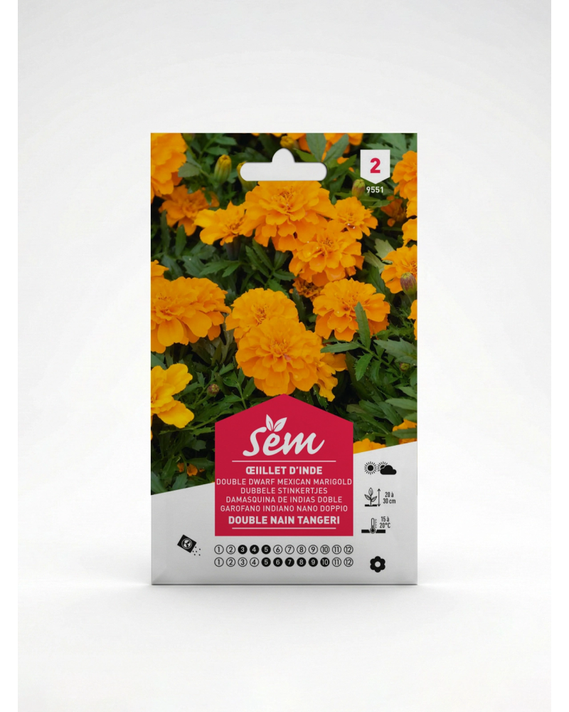 Œillet d’Inde Double Nain – Semences | Agriclic.tn