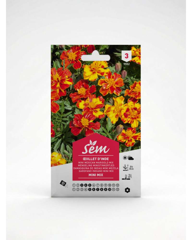 Œillet d’Inde Mini Mix – Semences | Agriclic.tn