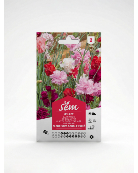 Œillet Fleuriste Double Varié – Semences | Agriclic.tn