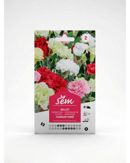 Œillet Chabaud Varié – Semences de fleurs | Agriclic.tn