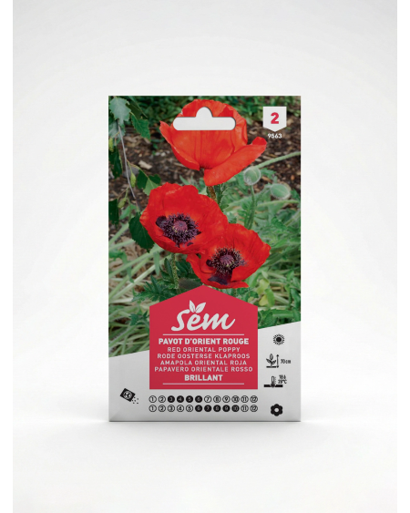 Pavot Rouge – Semences de fleurs | Agriclic.tn