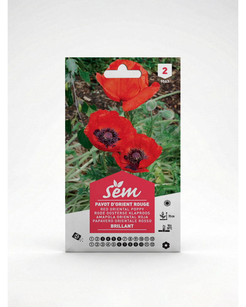 Pavot Rouge – Semences de fleurs | Agriclic.tn