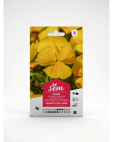 Pensée Grande Fleur Jaune – Semences | Agriclic.tn