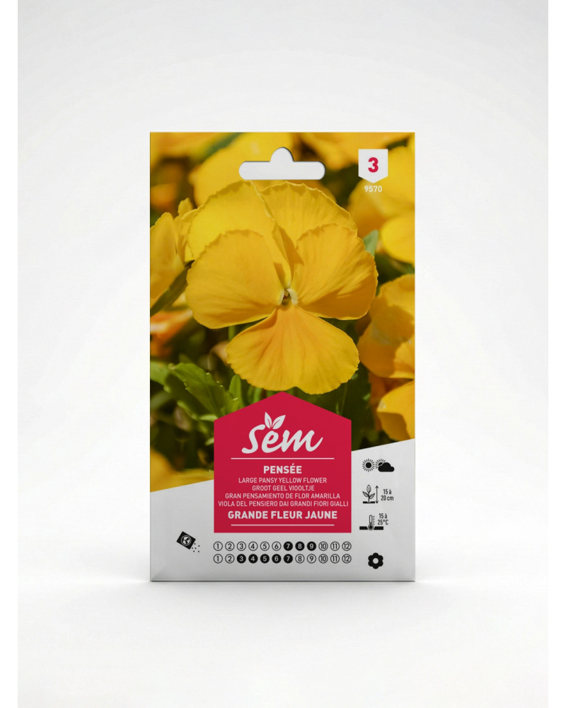Pensée Grande Fleur Jaune – Semences | Agriclic.tn