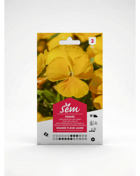 Pensée Grande Fleur Jaune – Semences | Agriclic.tn
