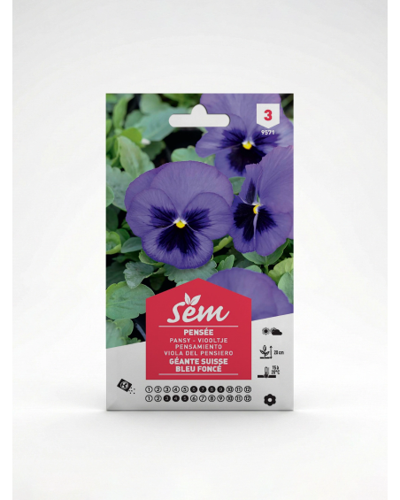 Pensée Géante Suisse Bleu Foncé – Semences | Agriclic.tn