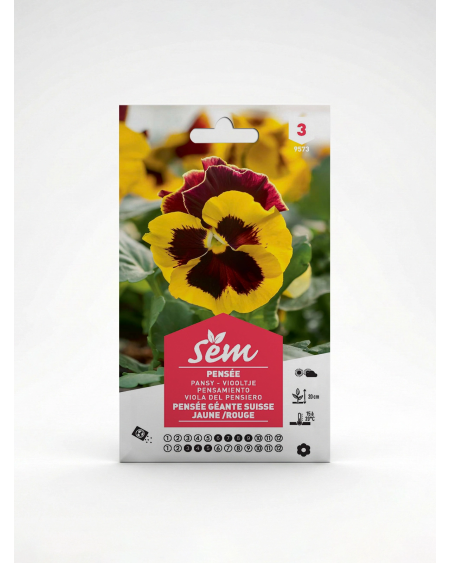Pensée Géante de Suisse Jaune Rouge – Semences | Agriclic.tn