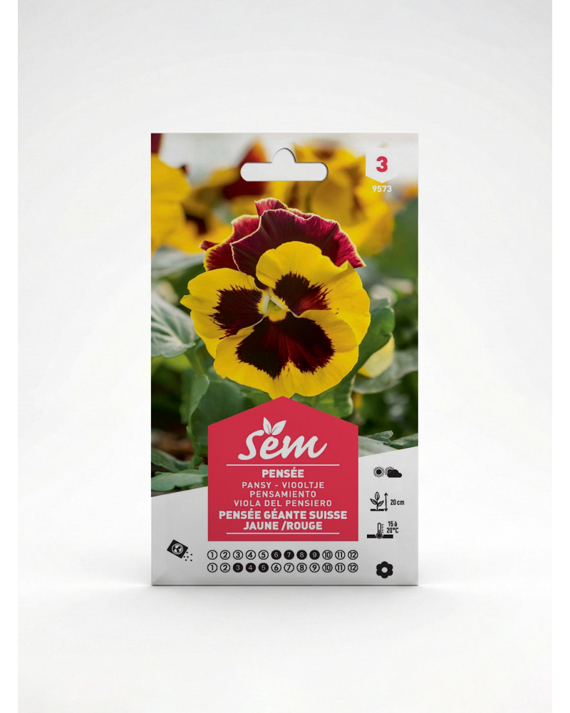 Pensée Géante de Suisse Jaune Rouge – Semences | Agriclic.tn