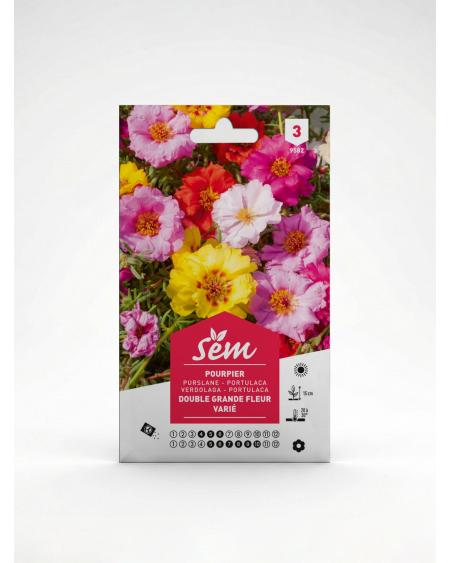 Pourpier Double Grande Fleur Variée – Semences | Agriclic.tn