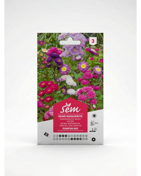 Reine Marguerite Pompon – Semences de fleurs | Agriclic.tn