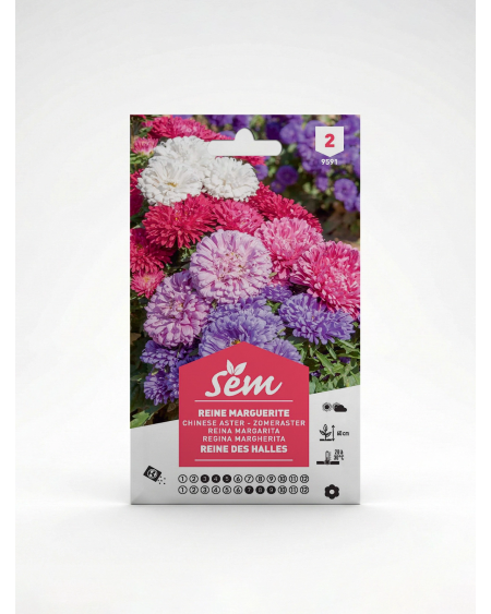 Reine Marguerite Reine des Halles – Semences | Agriclic.tn