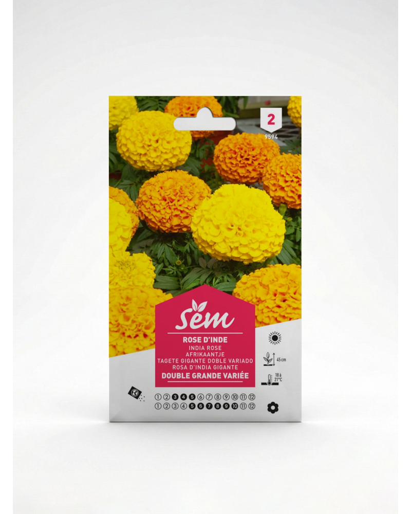 Rose d’Inde Grande Variée – Semences de fleurs | Agriclic.tn