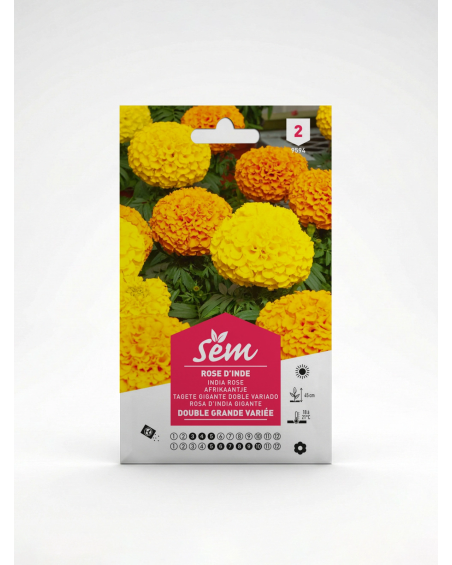 Rose d’Inde Grande Variée – Semences de fleurs | Agriclic.tn