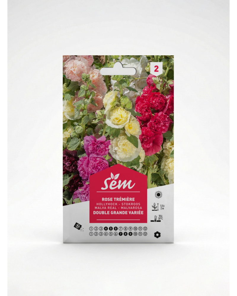 Rose Trémière Double Grande Variée – Semences | Agriclic.tn