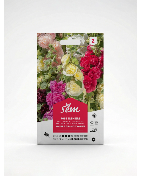 Rose Trémière Double Grande Variée – Semences | Agriclic.tn
