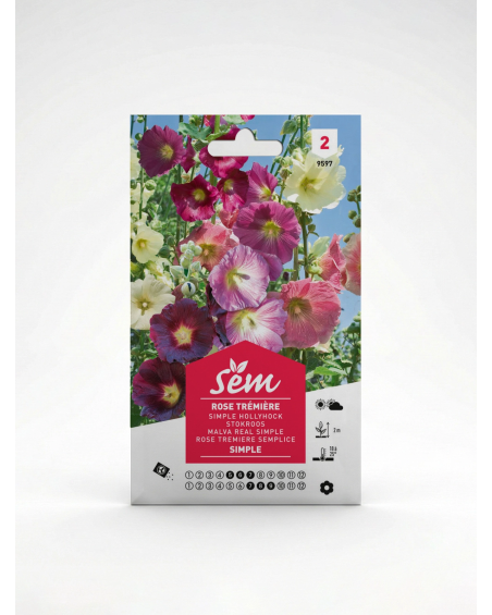 Rose Trémière Simple – Semences de fleurs | Agriclic.tn