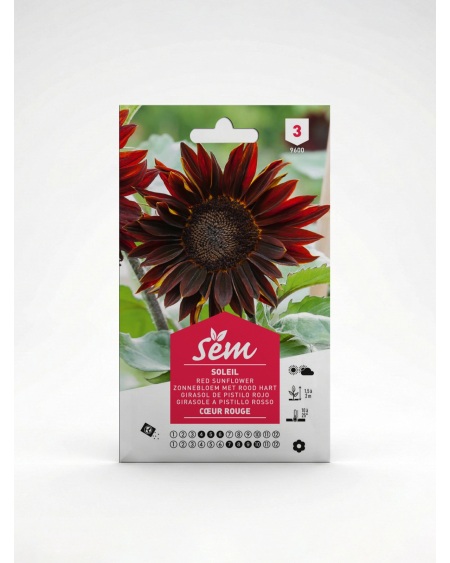 Soleil Cœur Rouge – Semences Helianthus | Agriclic.tn