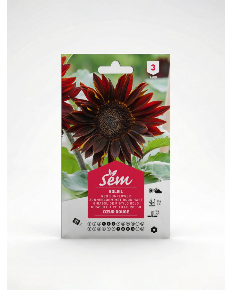 Soleil Cœur Rouge – Semences Helianthus | Agriclic.tn