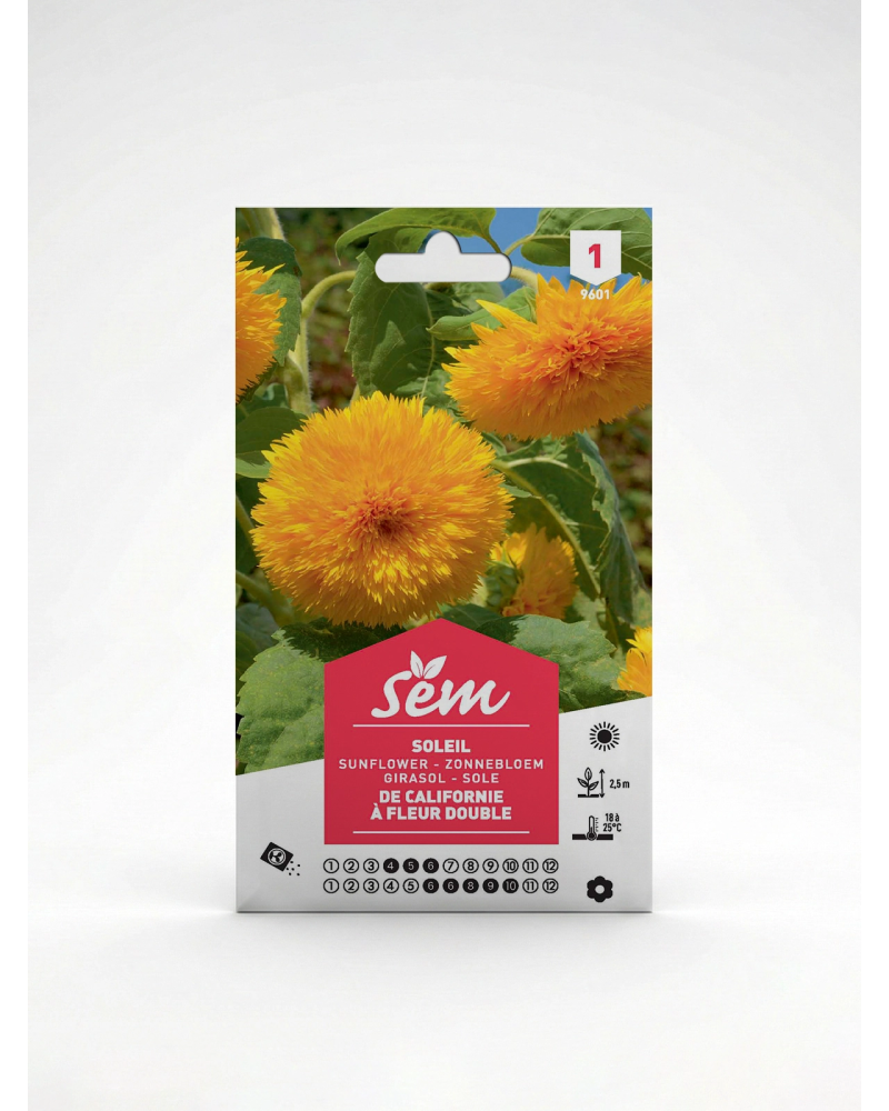 Soleil de Californie à Fleur Boule – Semences | Agriclic.tn