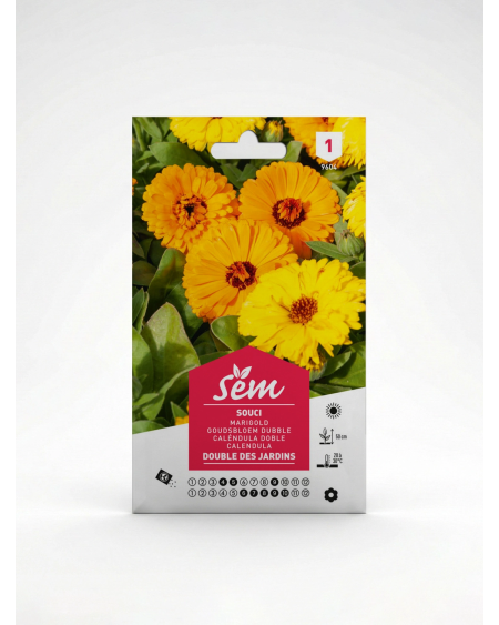 Souci Calendula officinalis – Semences de fleurs | Agriclic.tn