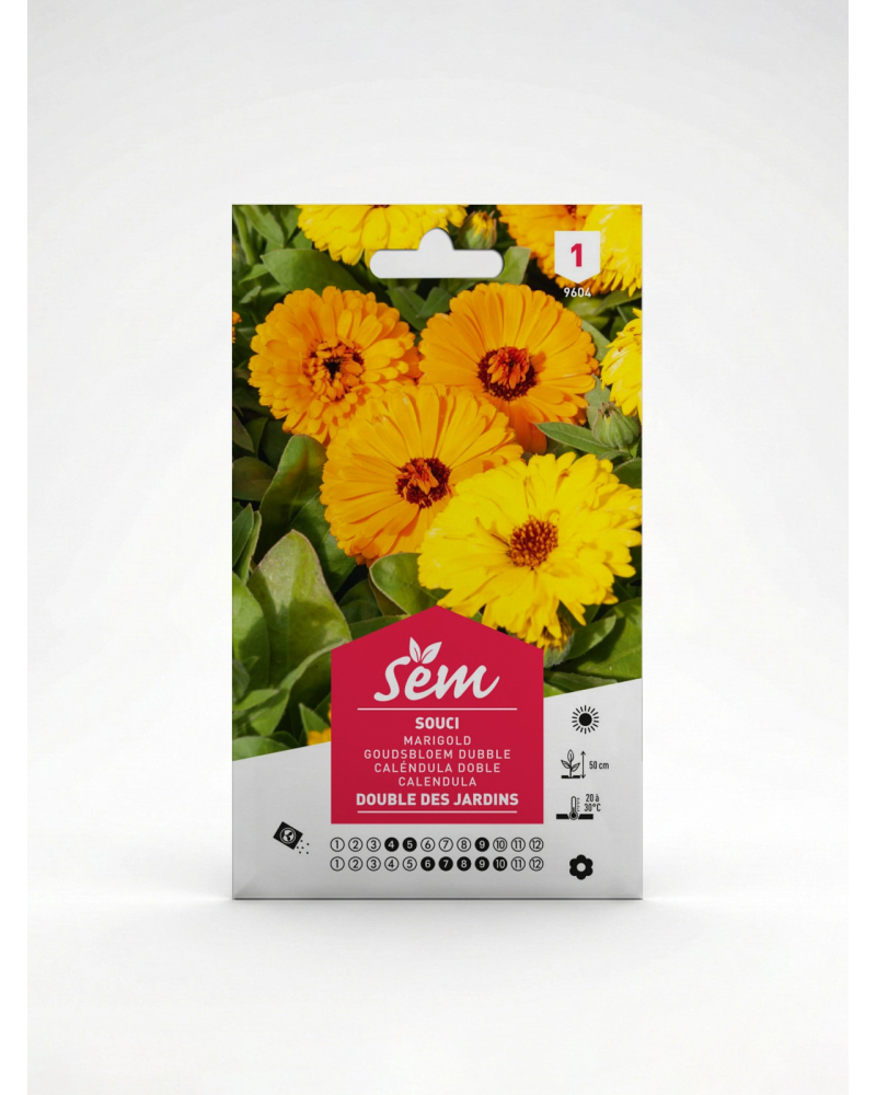 Souci Calendula officinalis – Semences de fleurs | Agriclic.tn