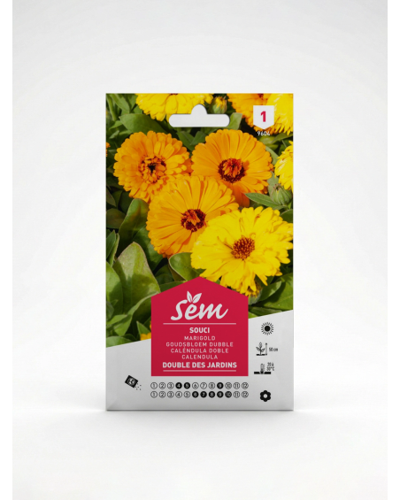 Souci Calendula officinalis – Semences de fleurs | Agriclic.tn