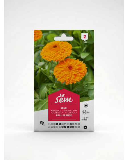 Souci Ball Orange – Semences de fleurs | Agriclic.tn