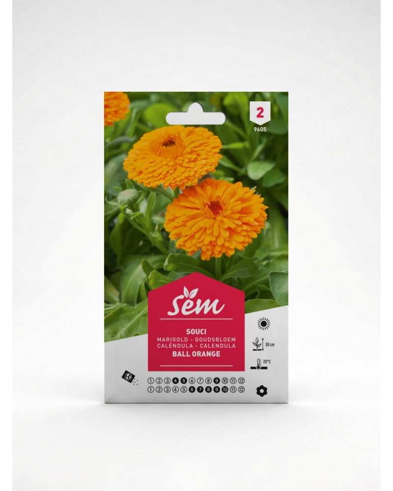 Souci Ball Orange – Semences de fleurs | Agriclic.tn
