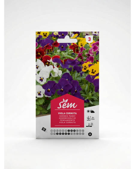 Viola Cornuta – Semence Pensée Cornue | Agriclic.tn