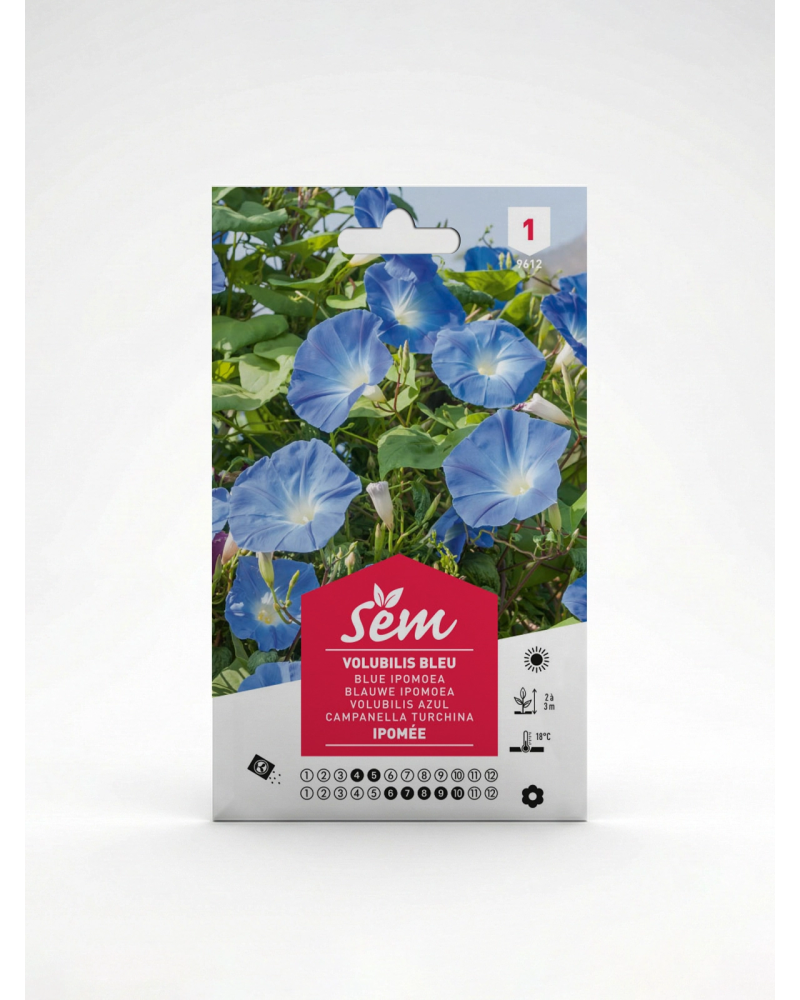 Volubilis Bleu Ipomée – Semence Fleur Grimpante | Agriclic.tn