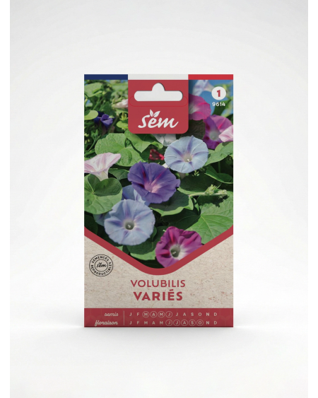 Volubilis Varié – Semence Ipomoea Grimpante | Agriclic.tn