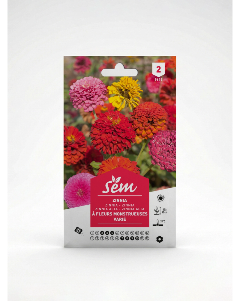 Zinnia à Fleur Monstrueuse – Semences de fleurs | Agriclic.tn