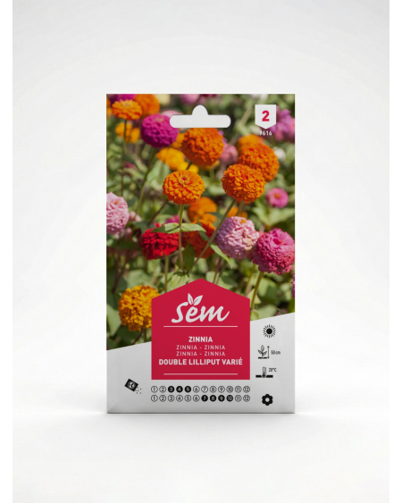 Zinnia Double Lilliput – Semences de fleurs | Agriclic.tn