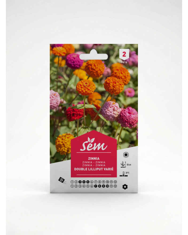 Zinnia Double Lilliput – Semences de fleurs | Agriclic.tn