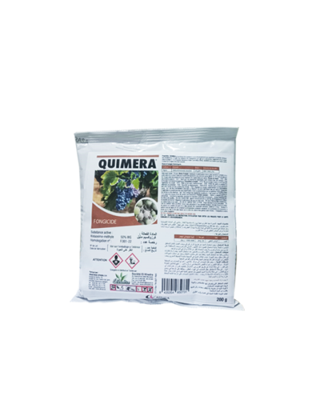 QUIMERA