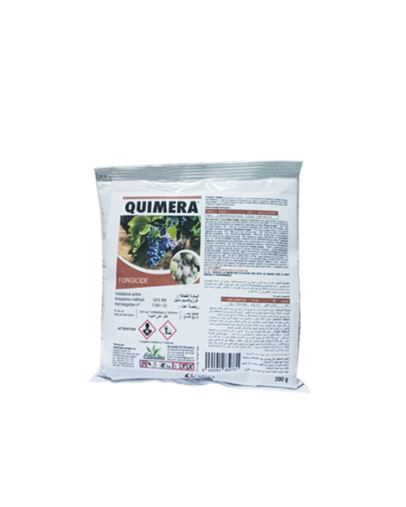 QUIMERA