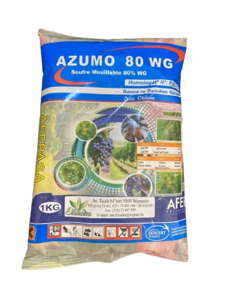 Azumo