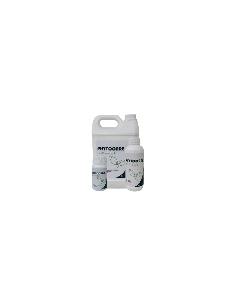 PHYTOCARE – Biostimulant microbien Bacillus velezensis
